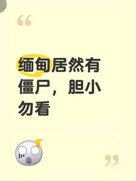 《缅甸僵尸出土事件》高清视频揭秘缅北真相 - 缅甸僵尸出土事件完整版在线观看