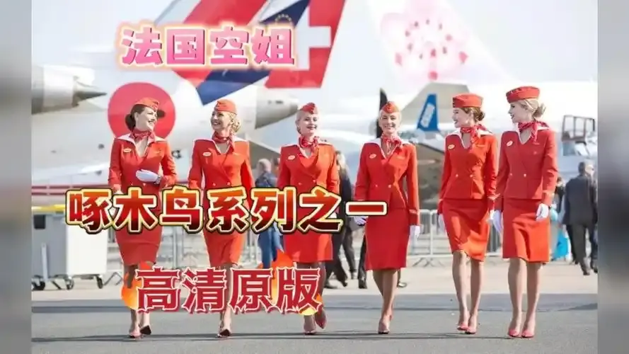 《法国空姐4》资源下载-法国空姐4免费观看法国完整版-超高清在线观看无卡顿-法版空姐1-3季全集