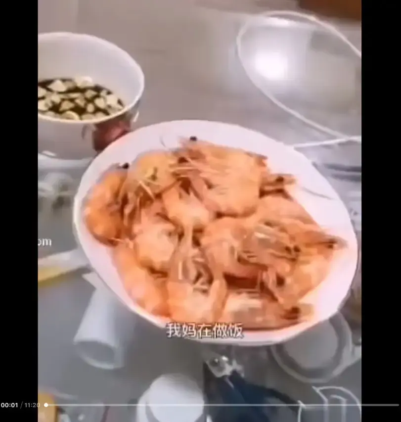 《大虾母子厨房完整版》免费在线观看-高清视频资源下载-完整版全集-揭开视频梗的神秘面纱