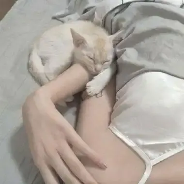 《森泽佳奈》1080P蓝光全集未删减中文版免费在线观看无广告-网盘资源下载高清版-森泽佳奈年度现象级作品全集珍藏